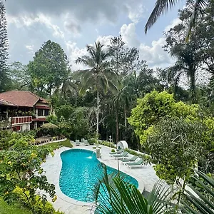 4* Resort Tranquil - Blusalzz Collection, Wayanad - Kerala